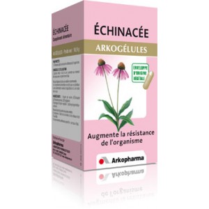 Arkog&eacute;lules &Eacute;chinac&eacute;e